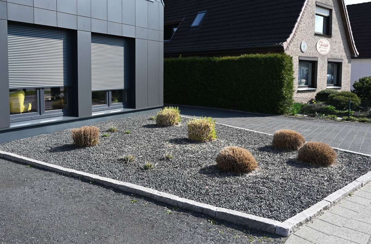 Schottergärten und ihr Verbot: Was sieben Städte in Baden-Württemberg  gegen Steinwüsten tun