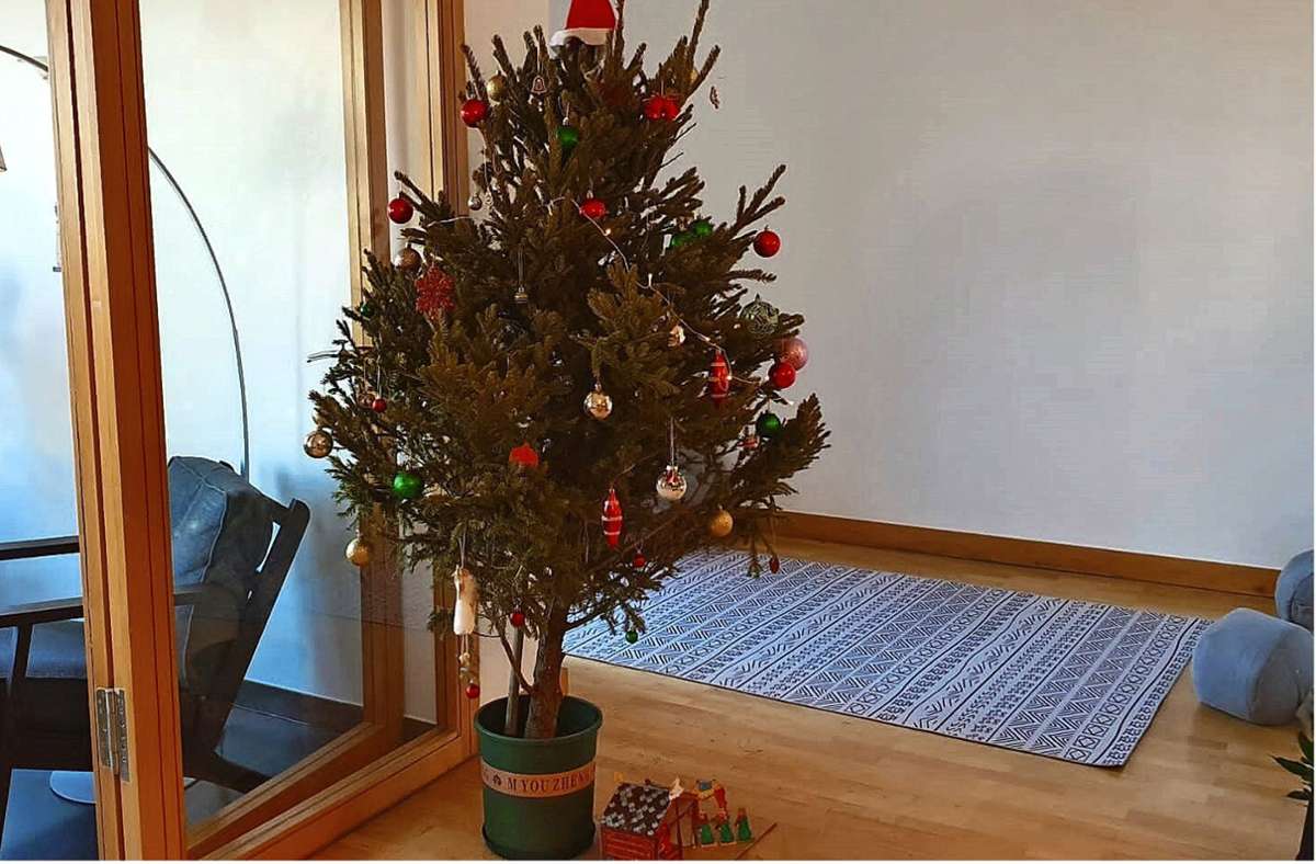 Der Christbaum im Hause Küper lässt zwar eifrig Nadeln fallen. Foto: Küper