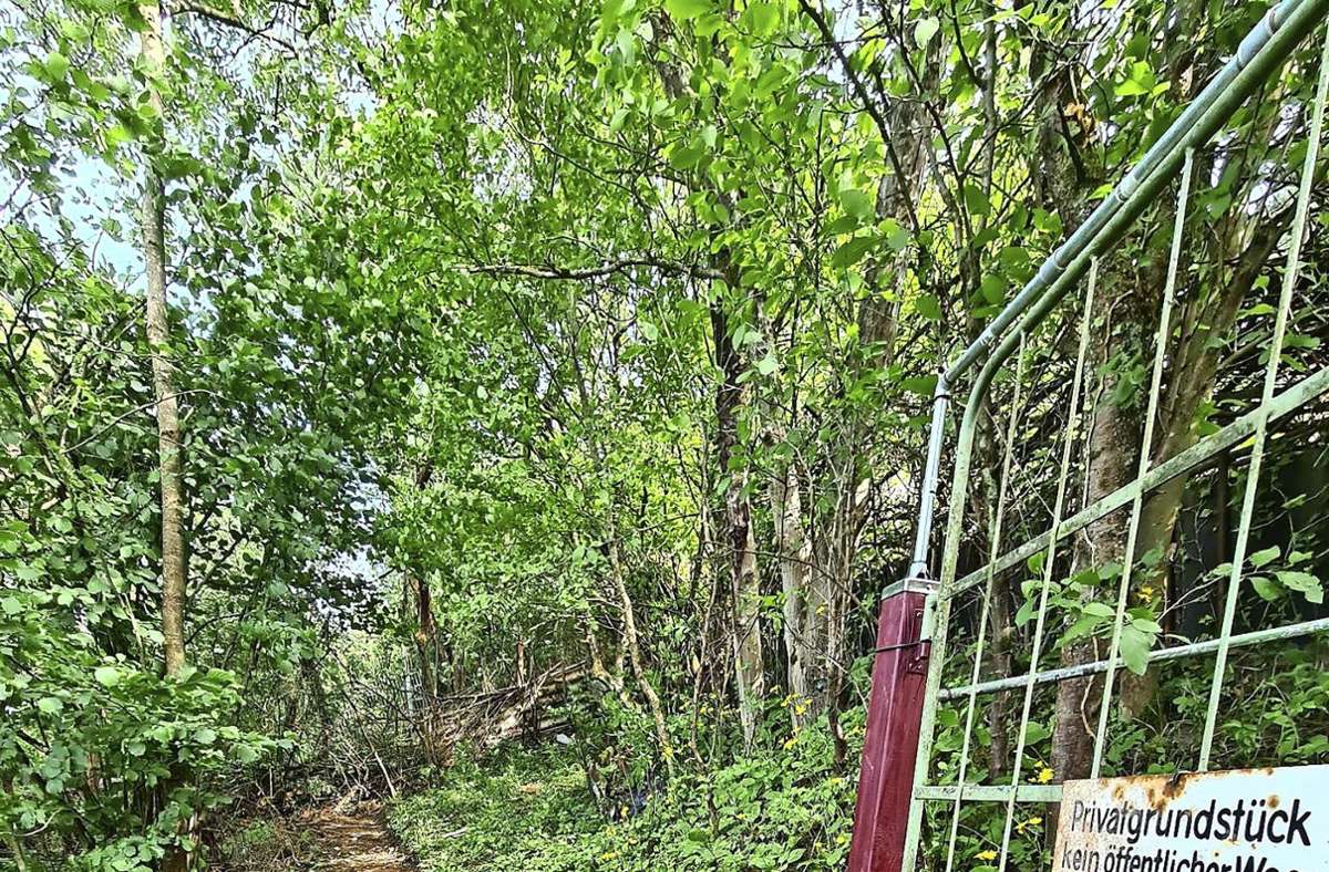 Zwölf Meter des Bürgerwaldpfades verlaufen über ein Privatgrundstück. Der Eigentümer hat  es nun mit einem Zaun eingefriedet. Der Pfad endet deswegen    als Sackgasse. Foto: Frank Stege (z)