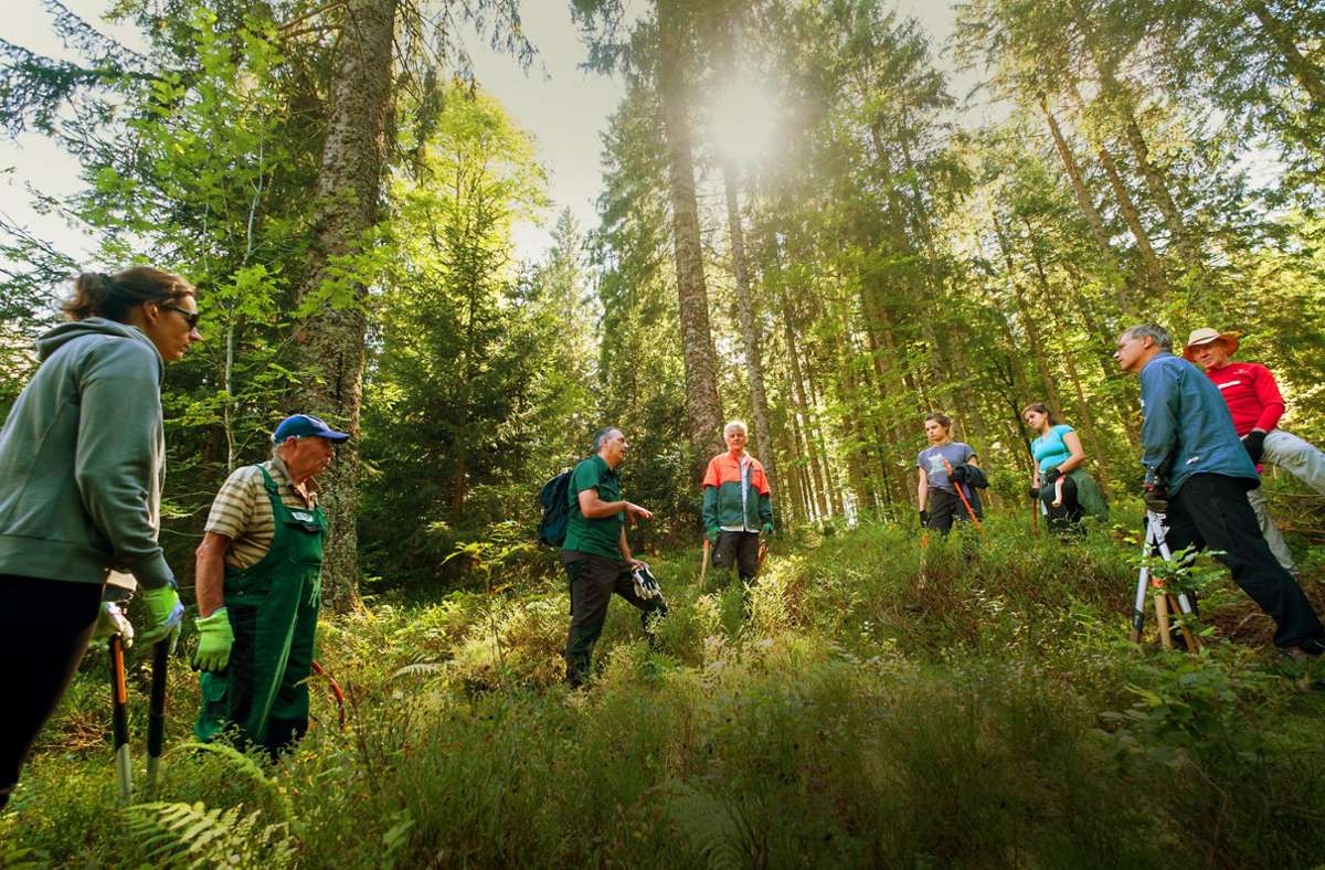 Freiwilligenprojekte im Schwarzwald: Kurzurlaub für den Naturschutz