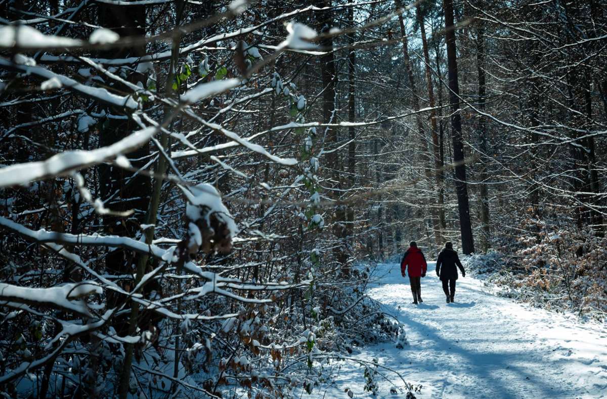 Das schöne Winterwetter lädt zu Spaziergängen ein. Foto: Lichtgut/Achim Zweygarth
