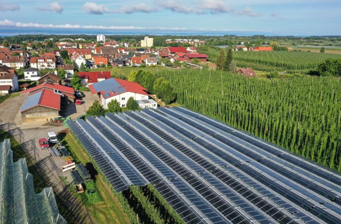 Unten Obst, oben Strom: Land will Agri-Photovoltaik fördern