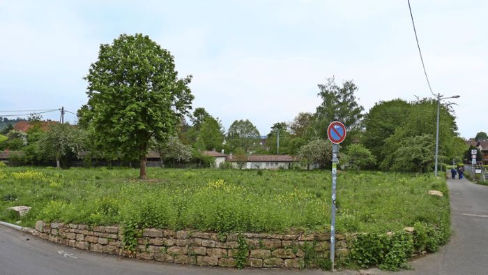 Areal am Awo Waldheim Untertürkheim: Naherholungsgebiet für Jung und Alt