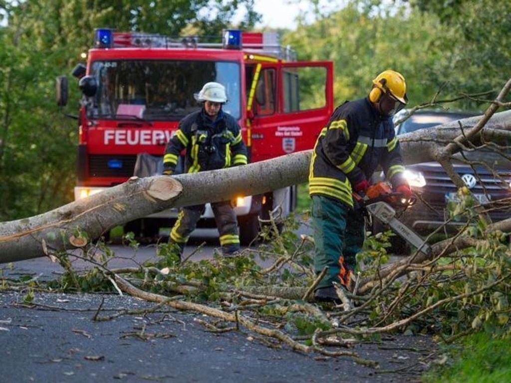 Sturm hat gestern vor allem im Norden Deutschlands gewütet: Weitere Unwetter erwartet