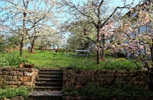 Offene Gärten Esslingen: Virtueller Gartenspaziergang
