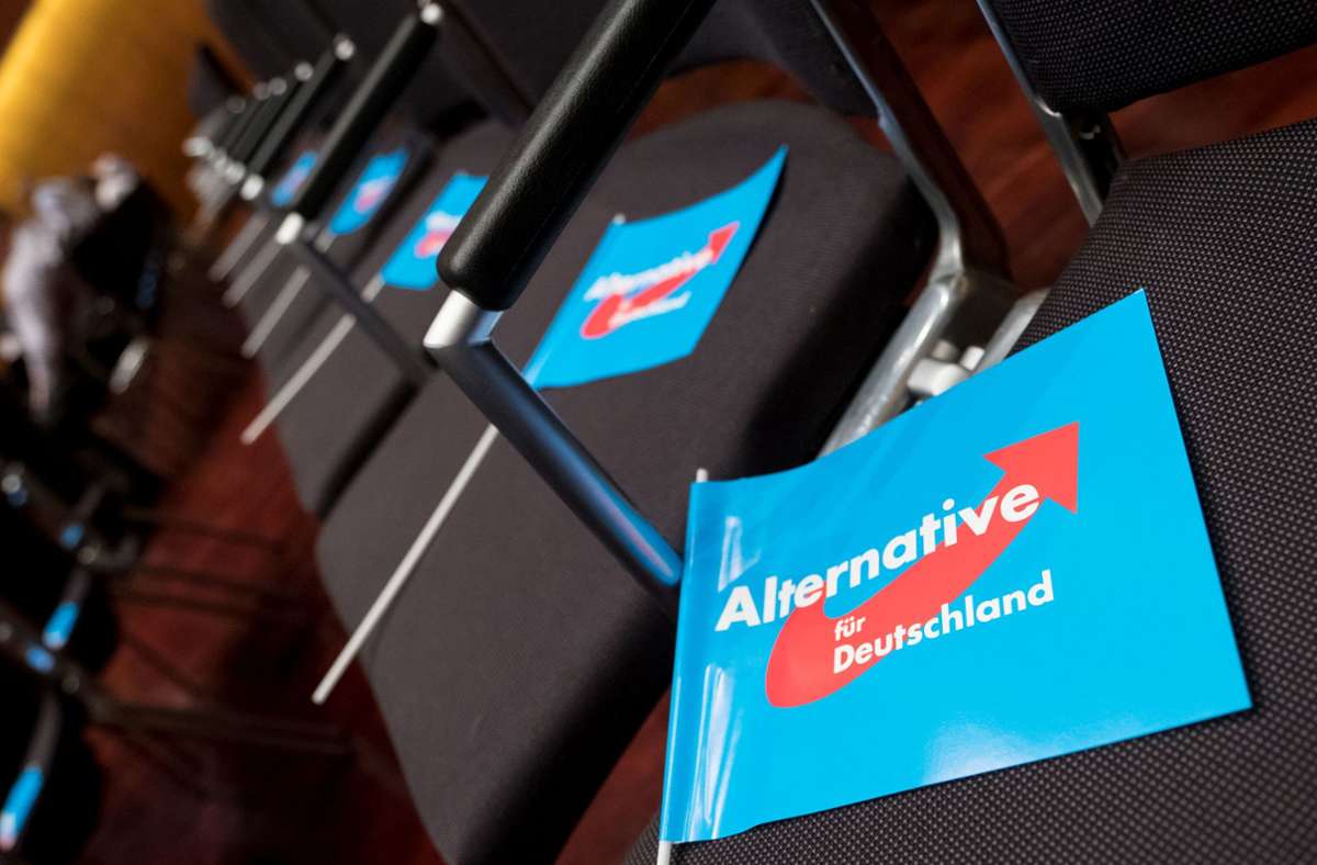 Bundestagskandidatin aus dem Kreis Waldshut: AfD beklagt mutmaßlichen Anschlag