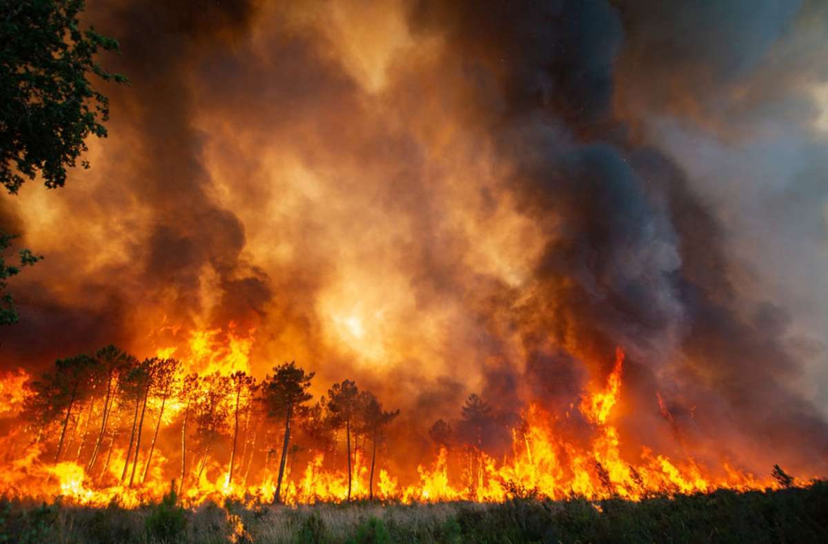 Hitze, Trockenheit und Waldbrände: Brände in Südeuropa wüten weiter - Bis 40 Grad in Deutschland möglich