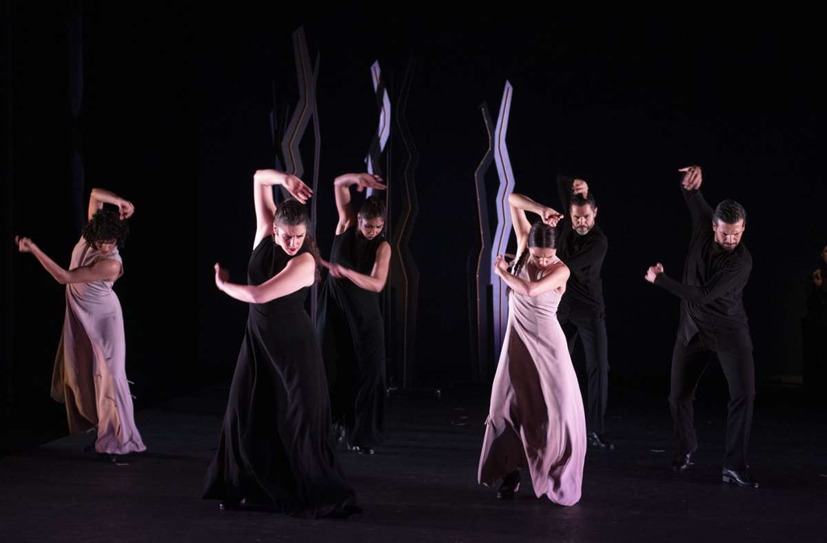 Schweizer Tanzkompanie: Aus für  Flamencos en route