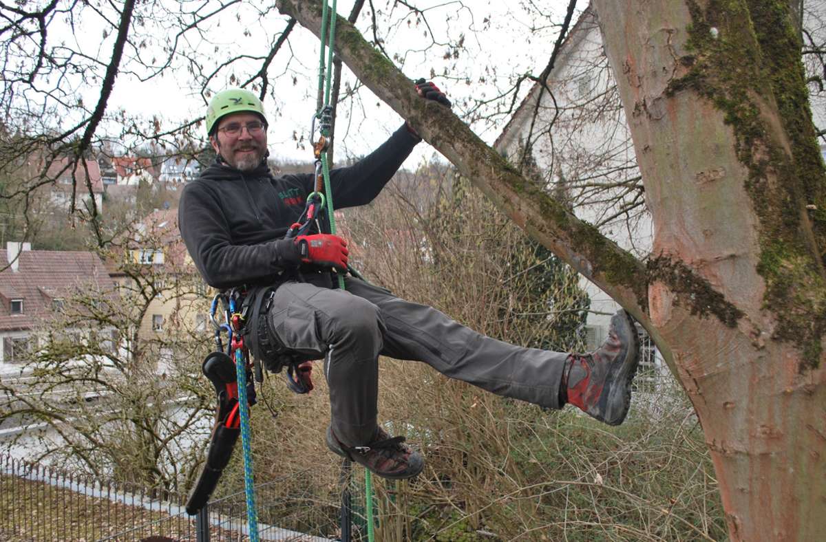 Traumjob Baumkletterer: So klettern Baumpfleger in Stuttgarts höchste Baumkronen