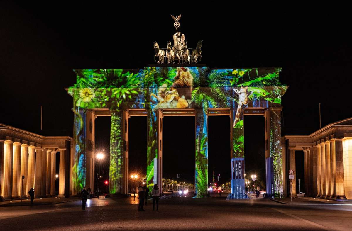 „Festival of Lights“: Diese Lichtinszenierungen beeindrucken derzeit in Berlin