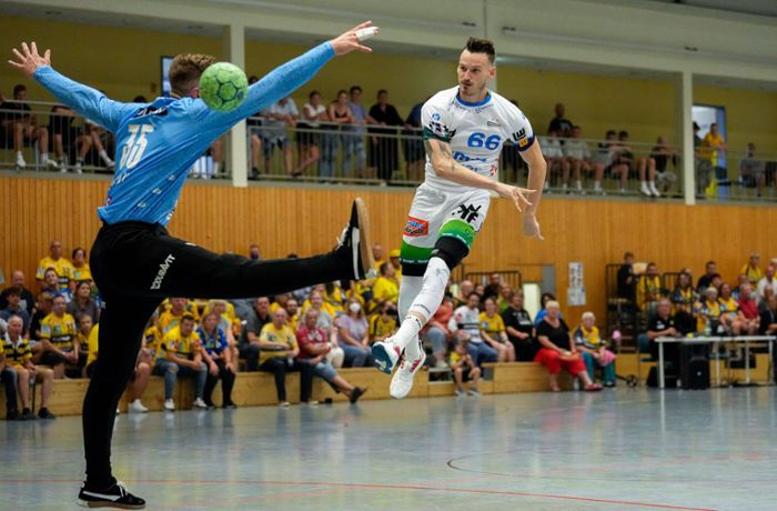 Handball-Bundesliga: Frisch Auf Göppingen im Formcheck