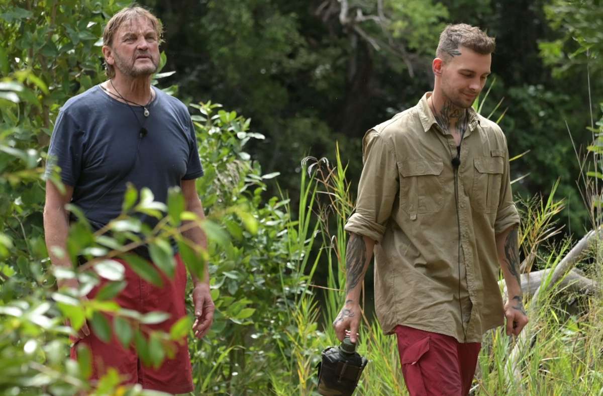 RTL-Dschungelcamp: Darum trat Eric Stehfest nicht zur Dschungel-Prüfung an