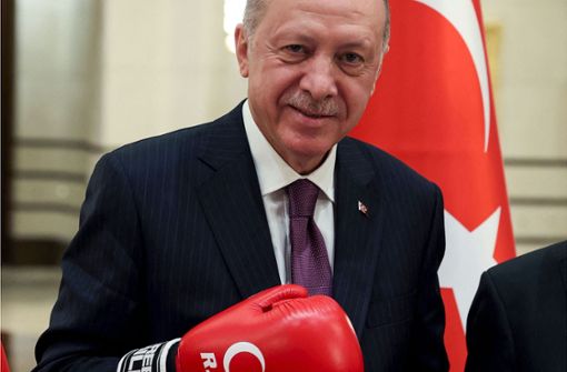 Der türkische Präsident Erdogan bekämpft seine Kritiker. Foto: AFP/Murat Cetinmuhurdar