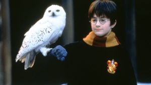 „Harry Potter“ soll als  TV-Serie kommen