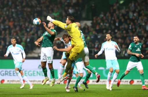 Der FC Schalke und Werder Bremen treffen am Samstag aufeinander – ein Team Foto: imago/MIS