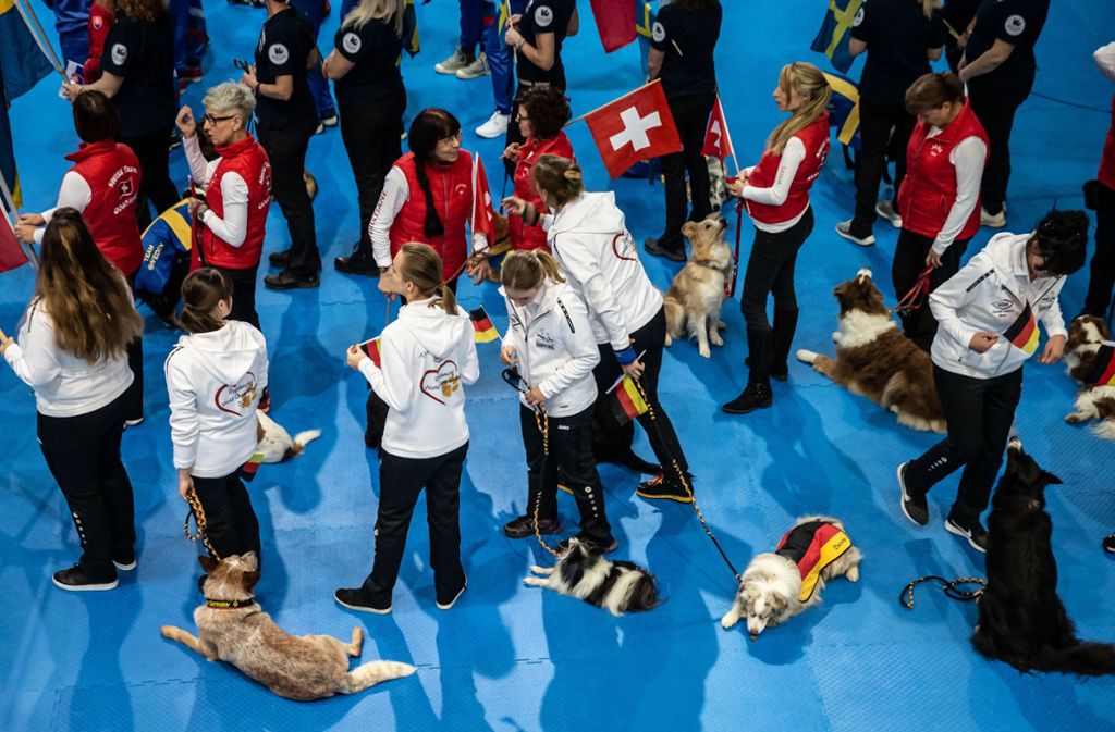 Derzeit findet im Rahmen der Haustierschau Animal auf der Messe  Stuttgart die Dogdance-Weltmeisterschaft statt.
