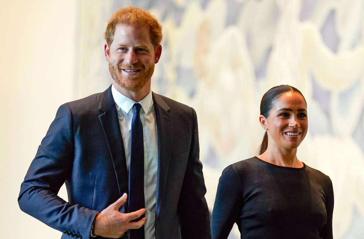 Prinz Harry und Herzogin Meghan: Paar adoptiert laut Bericht gerettete Hündin