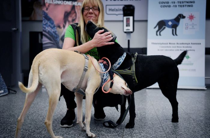 Coronapandemie in Europa: Tschechische Spürhunde sollen Coronainfizierte identifizieren