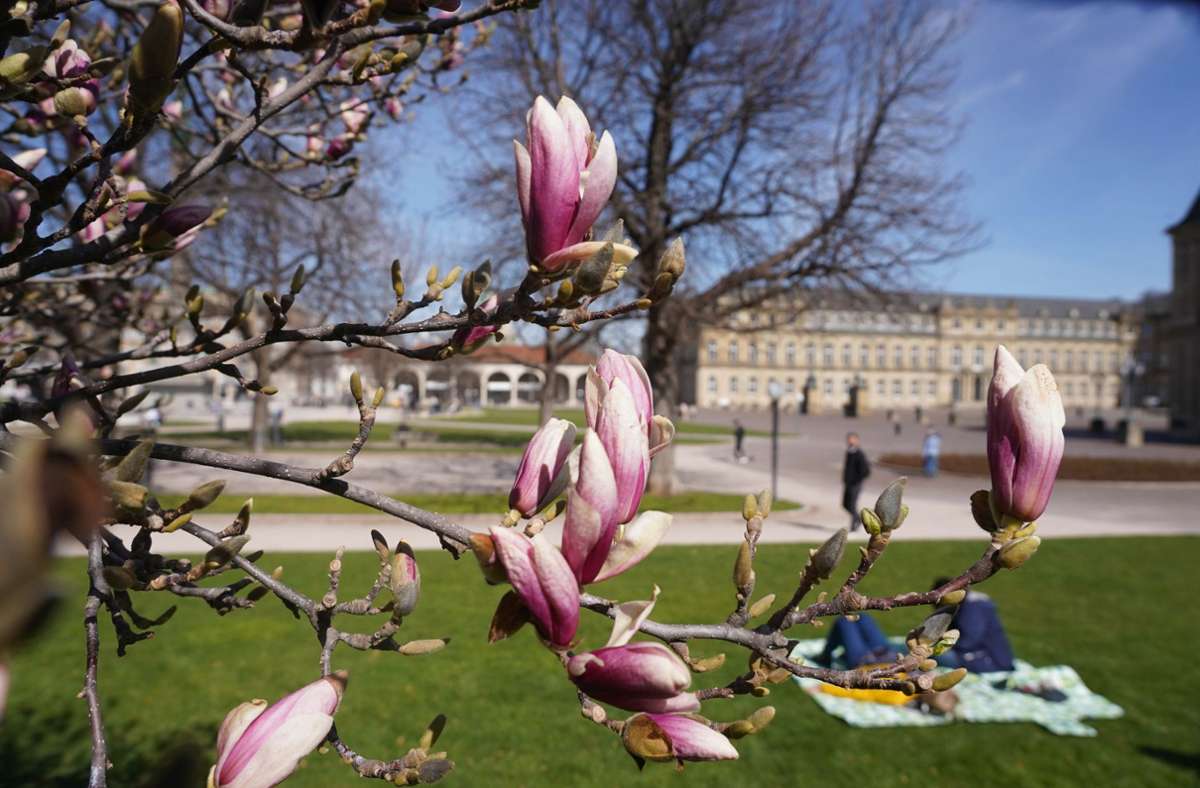 Wetter in Stuttgart: Frühling verliert über Ostern an Kraft