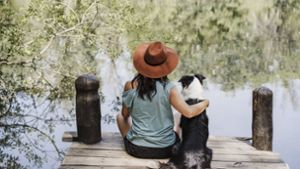 Studie: Hunde verstehen Absichten von Verhaltensweisen