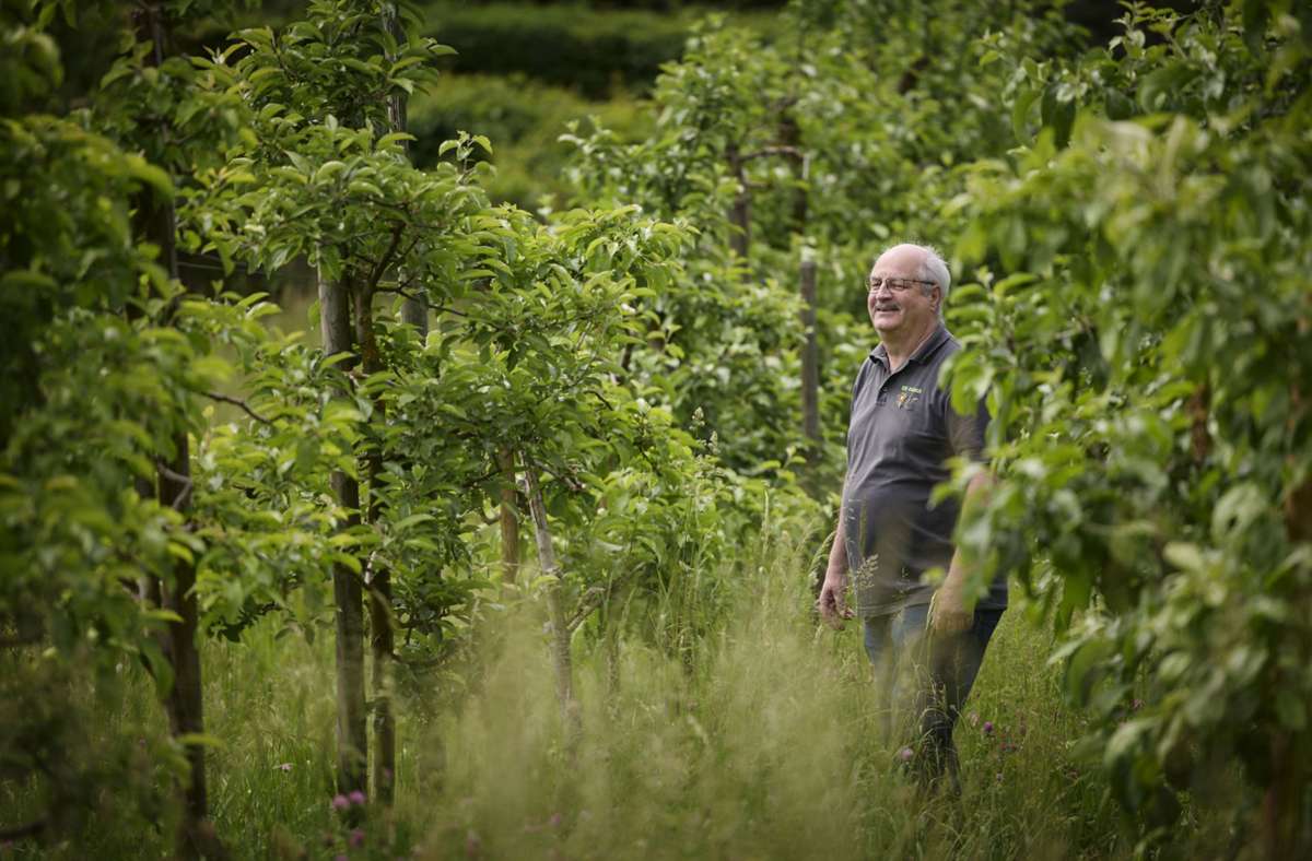 Siegfried Bauerle gestaltet seinen Garten zurzeit um, damit es ganzjährig blüht und Insekten Nahrung finden.