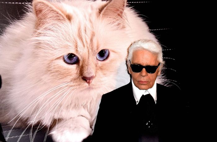Karl Lagerfeld: Nachlass wird versteigert – wer will die Näpfe von Katze Choupette?