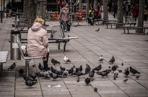 Tauben füttern ist in Stuttgart verboten – auch in Pandemiezeiten. Foto: Lichtgut/Max Kovalenko