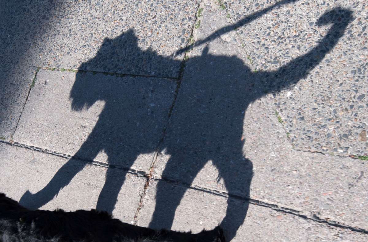 Halterin in Pleidelsheim gesucht: Hund beißt 68-Jährigem ins Bein