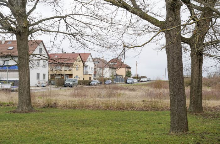 Startschuss für Baugebiet in Ditzingen: Wohnraum für etwa 500 Menschen geplant