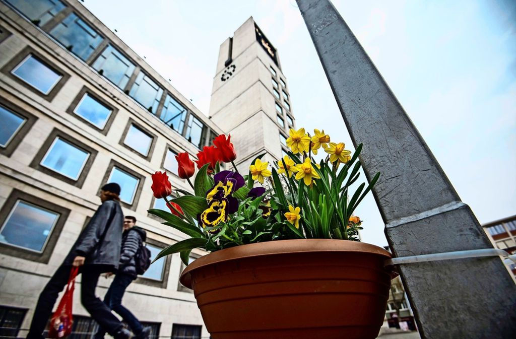 Das Gießen teilt sich Fritz Currle mit einem Obdachlosen: Stadtrat spendet Blumenkübel für den Marktplatz