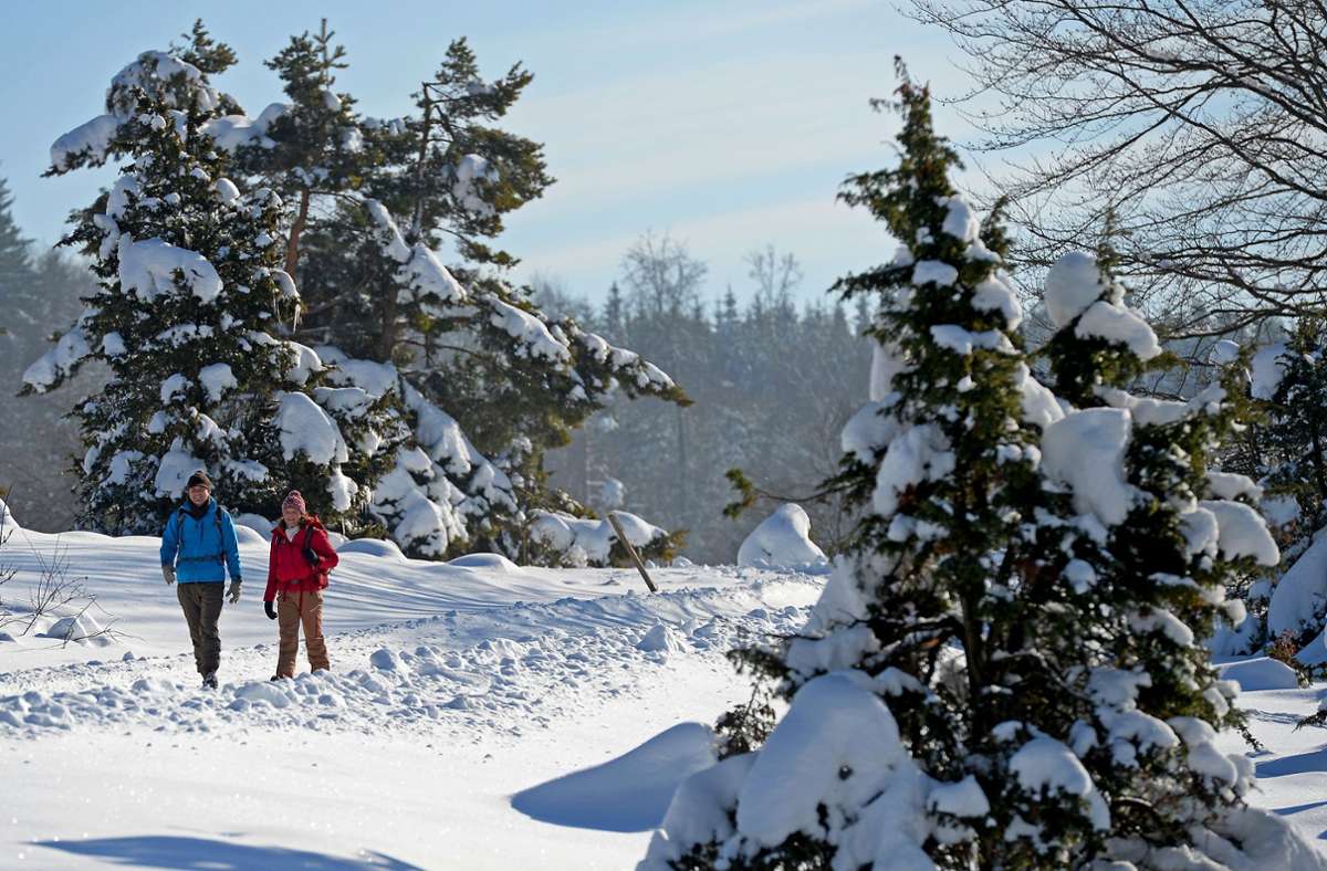 Ausflüge mit Schneegarantie: Tipps für Winterspaß auf der Schwäbischen Alb