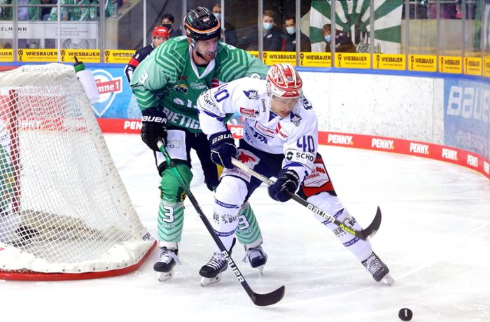 Deutsche Eishockey Liga: So wollen die  Wild Wings in die Erfolgsspur