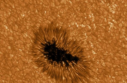 Gestochen scharfe Bilder eines Sonnenflecks hat das größte europäische Sonnenteleskop Gregor aufgenommen. Foto: dpa