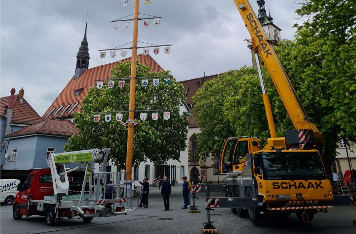 Der knapp 26 Meter hohe Vereins- und Handwerkerbaum steht. Foto: Sebastian Steegmüller