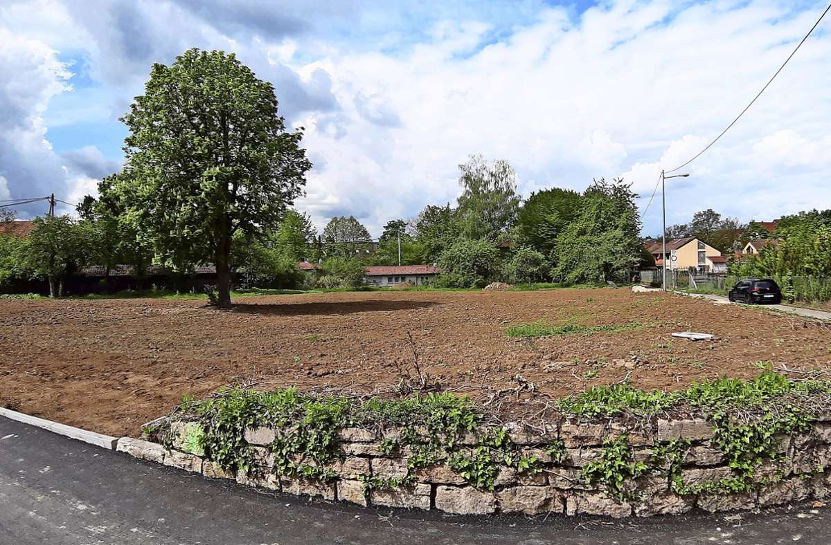Brache in  Stuttgart-Untertürkheim: Kleingärten  auf einstigem Waldheim-Grundstück angeregt