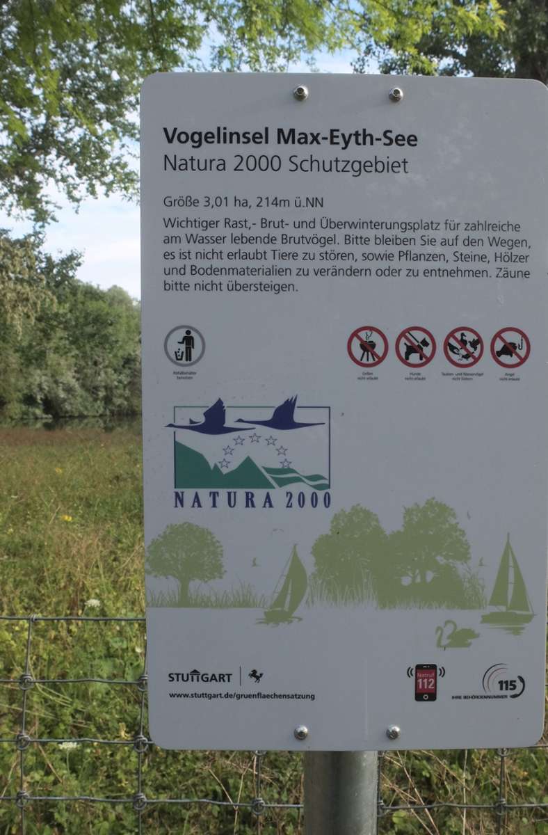 Die Stadt hat sich verpflichtet, die Vogelwelt auf der Halbinsel im Max-Eyth-See zu schützen. Durch den Waschbär gibt es Probleme. Deshalb hat die Stadt einen Stadtjäger beauftragt, das invasive Tier zu beseitigen.