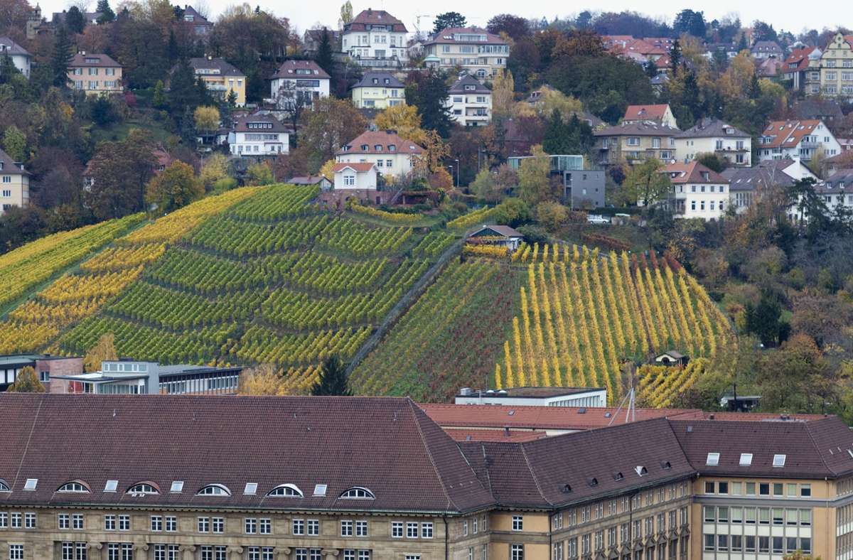 Stuttgart-Album zur Historie  des Weinbaus: Einst war  in Stuttgart  Wein billiger als Wasser