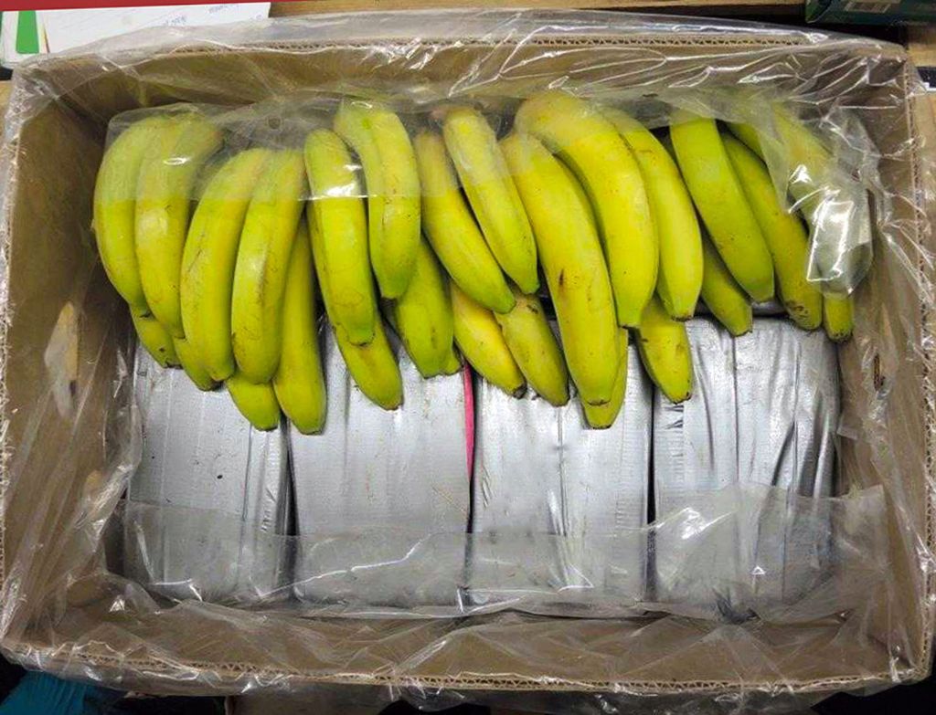 225 Kilo Kokain unter Bananen versteckt
