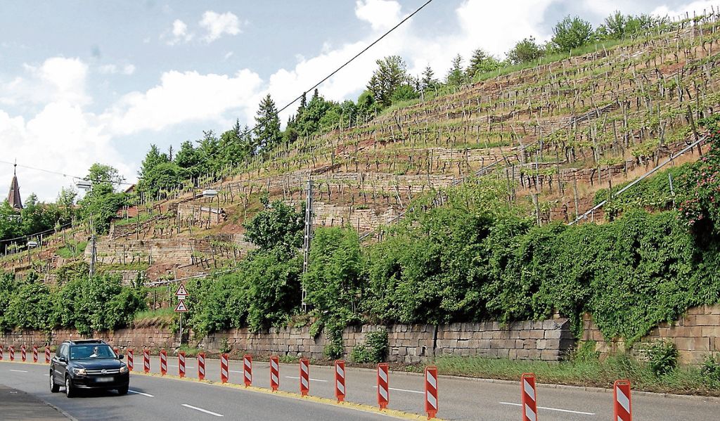 Gefährdung des Verkehrs und Probleme bei Bewirtschaftung des Weinbergs - Sanierung für 1,25 Millionen Euro: Bröckelnde Mauern an der Neuen Weinsteige