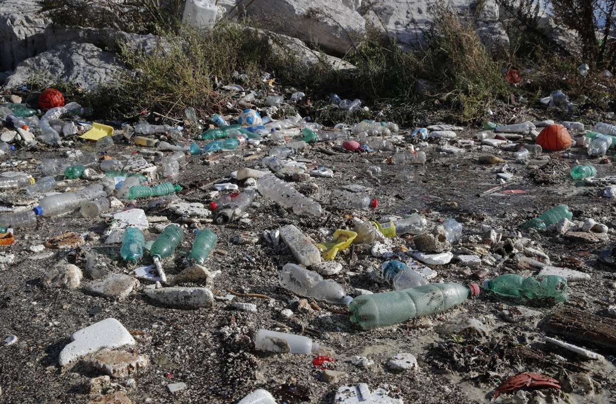 Meeresverschmutzung: Kampf gegen Plastikflut: Neues Enzym zersetzt Kunststoffe