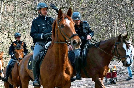 Wie ticken Pferde, wenn sie austicken? Polizeireiter kennen die Probleme bei entlaufenen Pferden. Foto: 7aktuell/Oskar Eyb