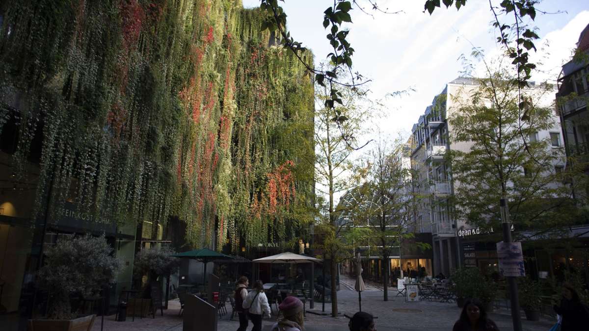 Förderprogramm Urbanes Grün in Stuttgart: Mehr Mut zum  Grün in der Stadt, bitte!