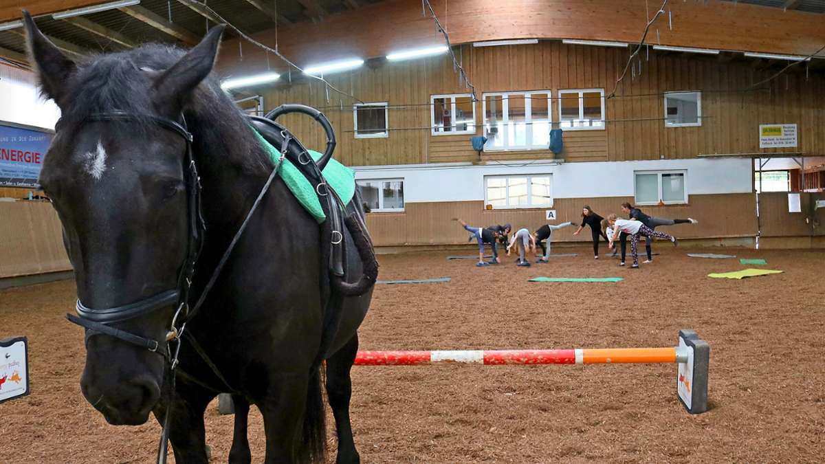 Kooperation Schule und Verein: Schulsport auf dem Pferderücken