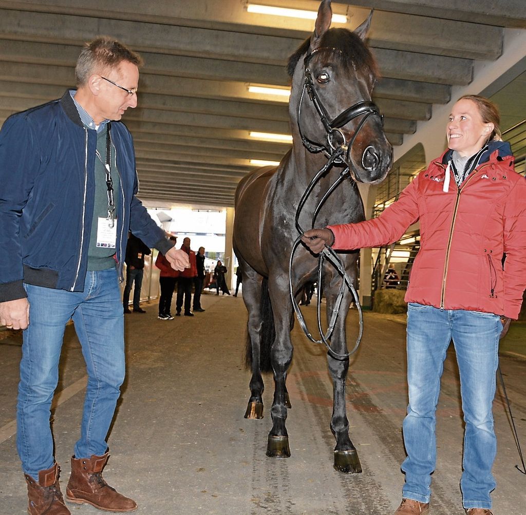 Der Gesundheits-Check ist für alle Tiere bei den German Masters in der Schleyerhalle Pflicht: Der „Pferde-Doc“ gibt grünes Licht