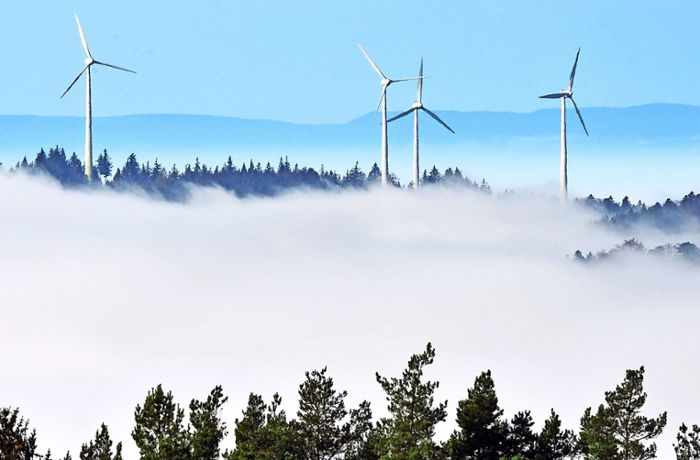 Energiewende in Baden-Württemberg: Minister-Zoff um Windräder im Staatswald bahnt sich an