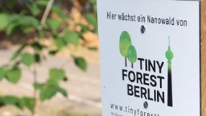 Mannheimer Initiative will Tiny Forest Anfang März einpflanzen