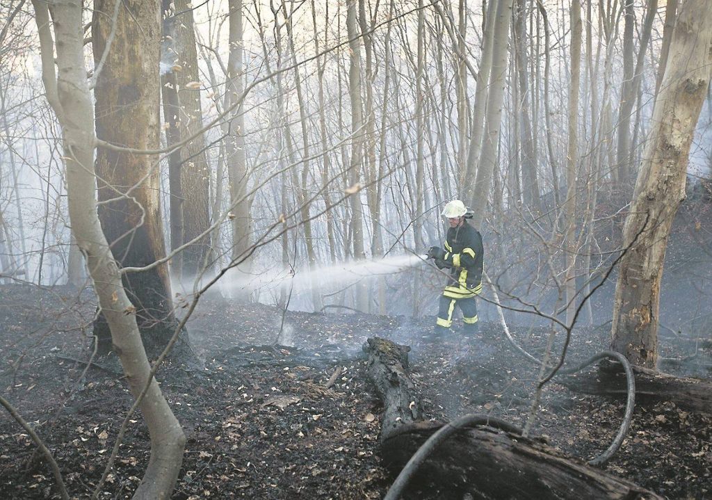 Hohe bis teilweise sehr hohe Warnstufe: Zunehmende Waldbrandgefahr im Land