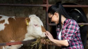 Was es bewirkt, mit  Rindern zu reden