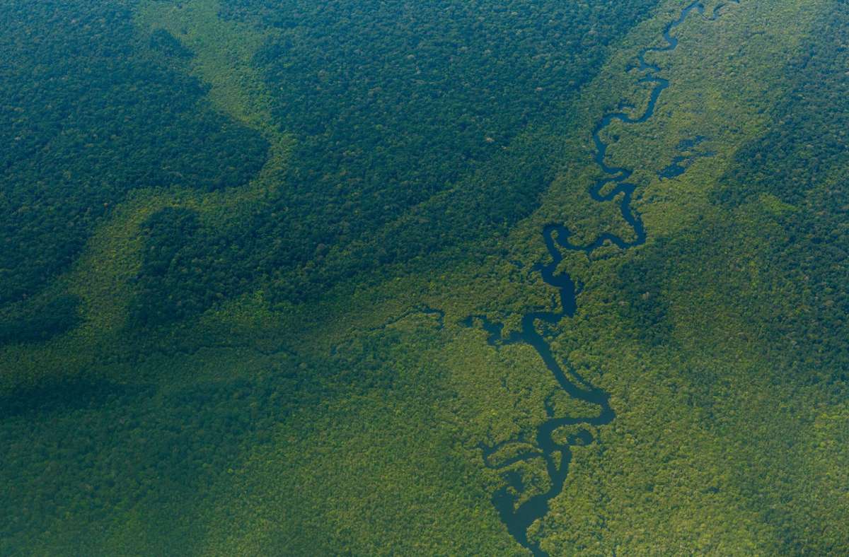 Luftblick auf den Wald im Amazonas nahe Sao Gabriel da Cachoeira in Brasilien. Nur wenige Lebensräume auf der Welt sind in ihrer Artenvielfalt noch intakt.