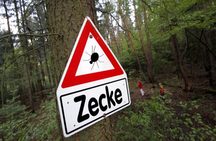 Tiere in Untertürkheim: Zeckenalarm in Stuttgarts Wäldern
